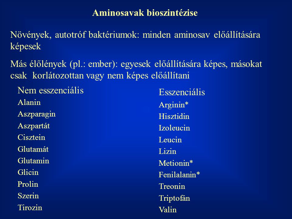 Aminosavak bioszintézise
