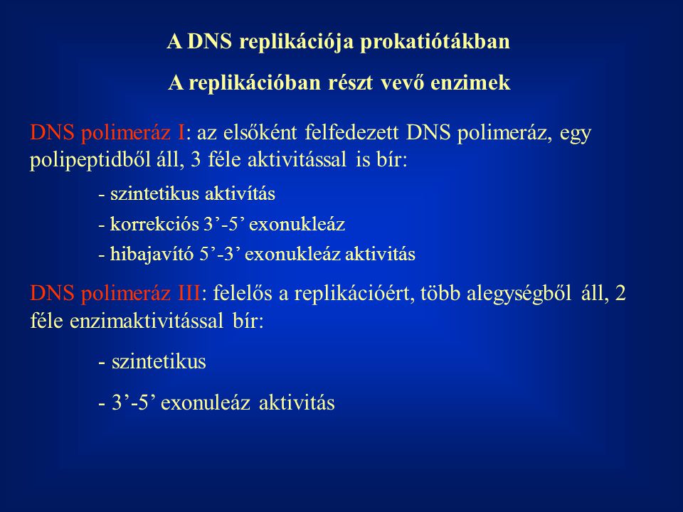 A DNS replikációja prokatiótákban A replikációban részt vevő enzimek