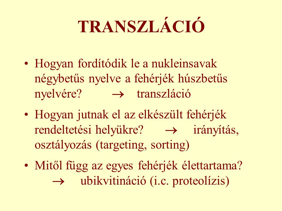 TRANSZLÁCIÓ Hogyan fordítódik le a nukleinsavak négybetűs nyelve a fehérjék húszbetűs nyelvére  transzláció.