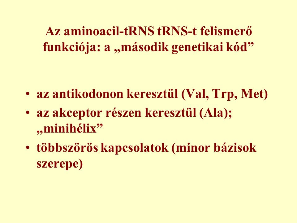 Az aminoacil-tRNS tRNS-t felismerő funkciója: a „második genetikai kód