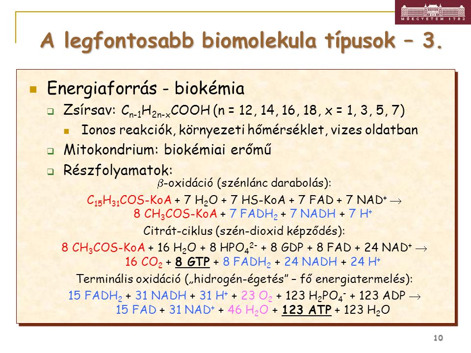 A legfontosabb biomolekula típusok – 3.
