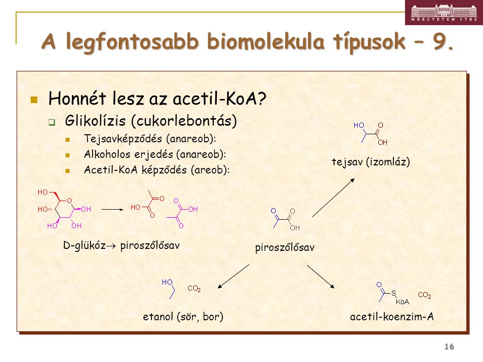 A legfontosabb biomolekula típusok – 9.