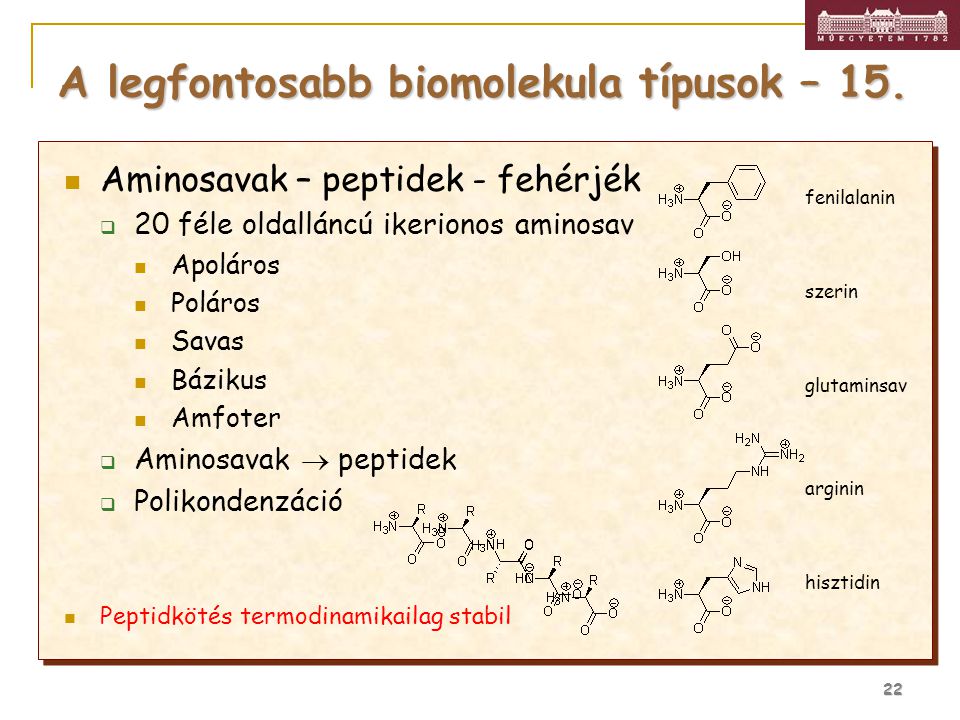 A legfontosabb biomolekula típusok – 15.