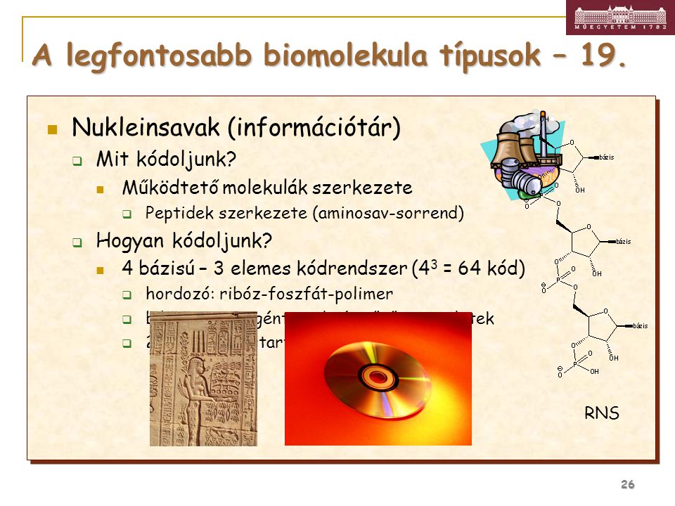 A legfontosabb biomolekula típusok – 19.