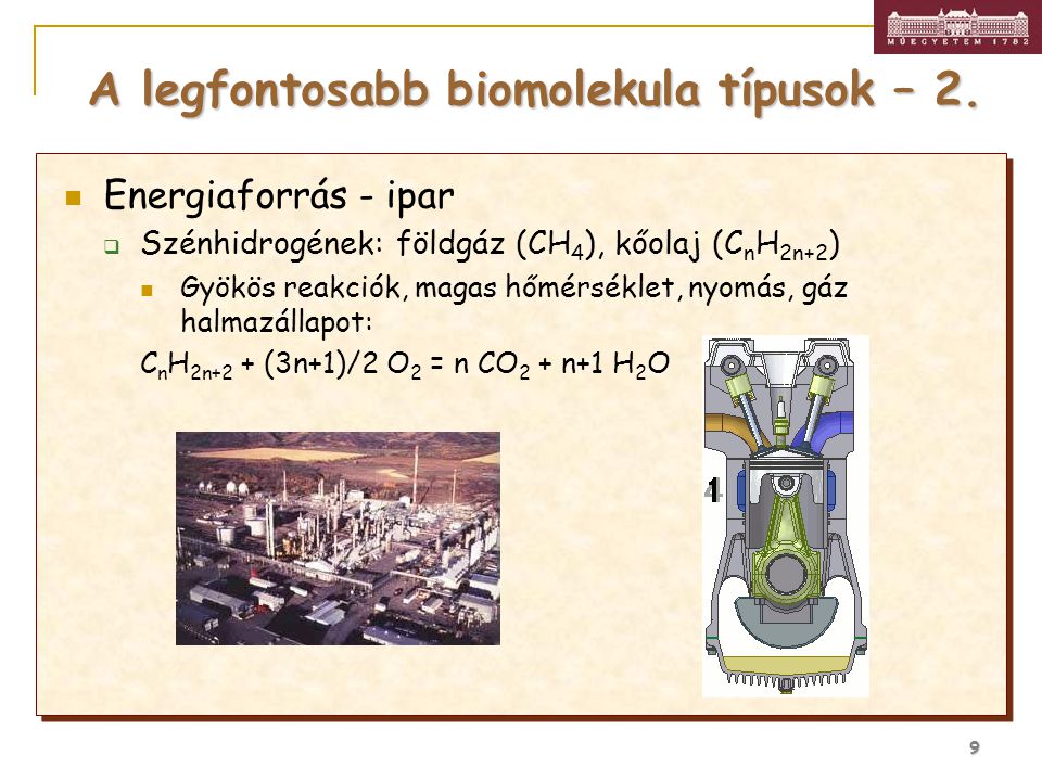 A legfontosabb biomolekula típusok – 2.