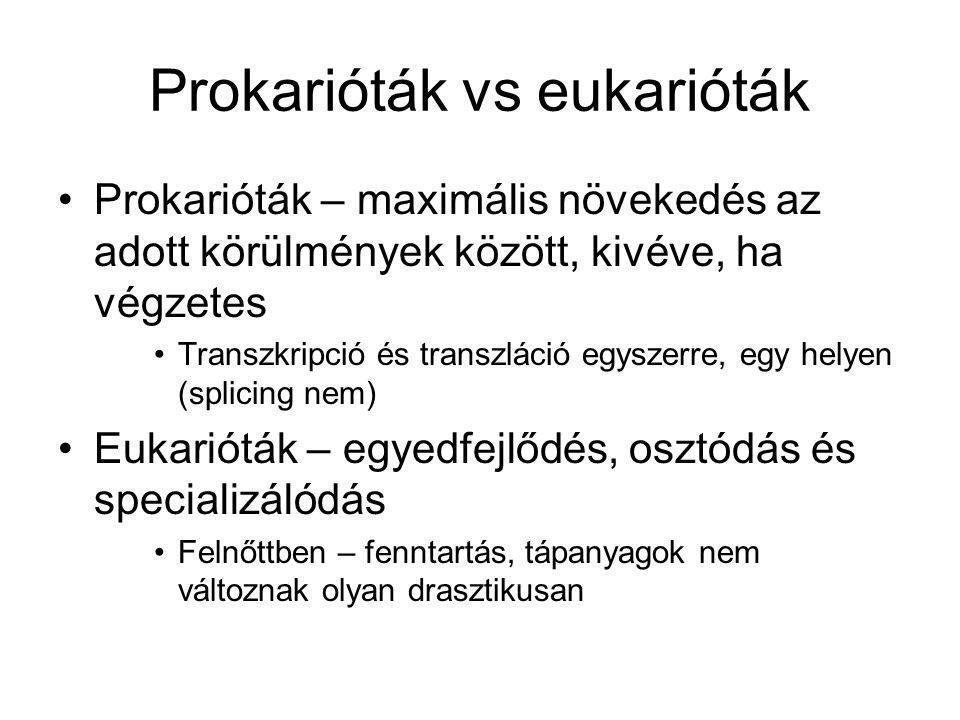 Prokarióták vs eukarióták