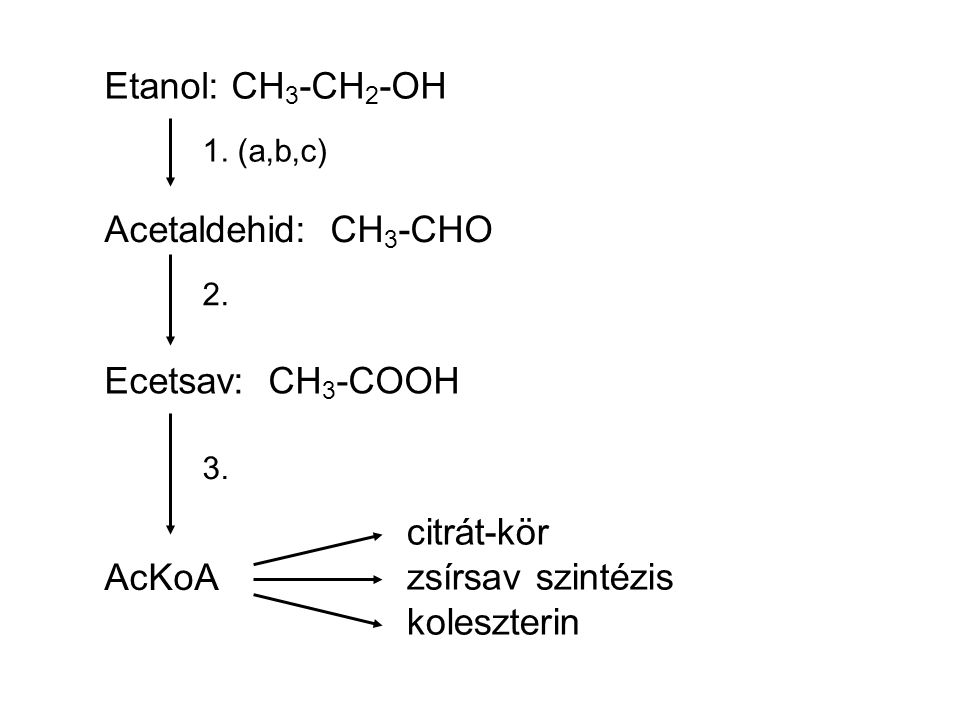 Etanol: CH3-CH2-OH Acetaldehid: CH3-CHO Ecetsav: CH3-COOH citrát-kör