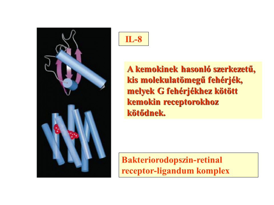 Bakteriorodopszin-retinal receptor-ligandum komplex