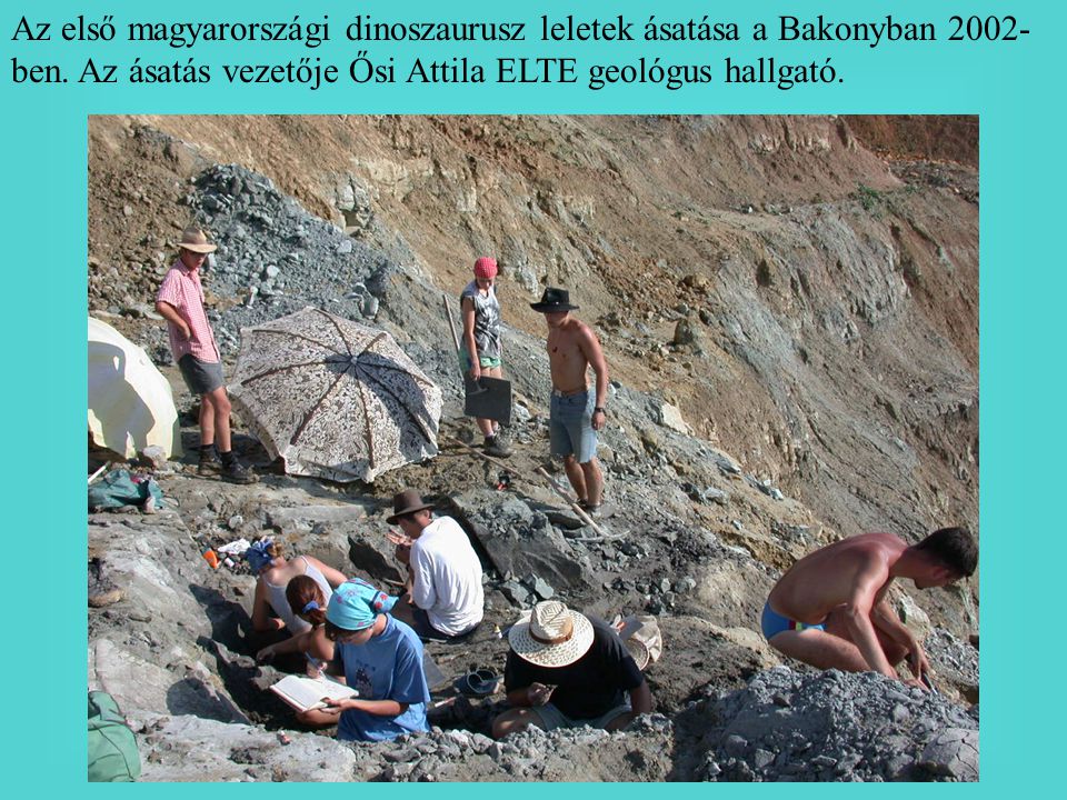 Az első magyarországi dinoszaurusz leletek ásatása a Bakonyban 2002-ben.