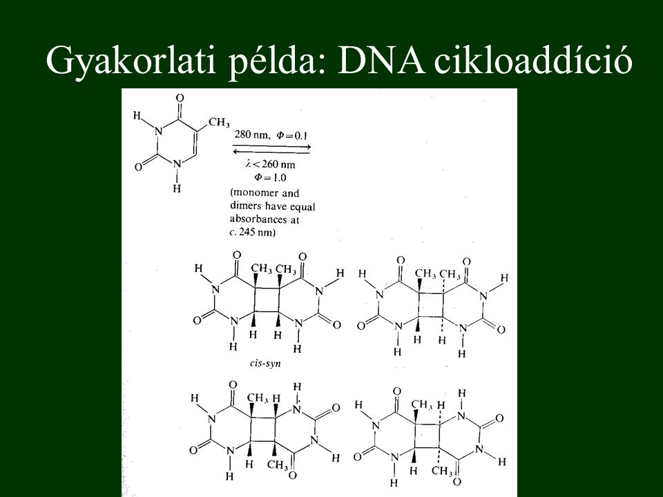 Gyakorlati példa: DNA cikloaddíció