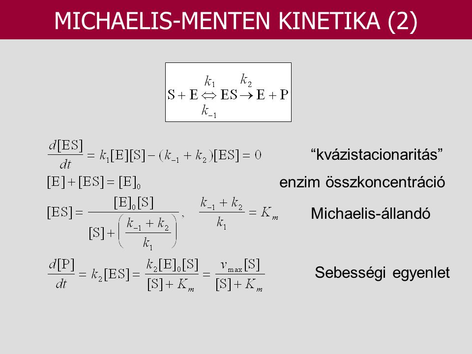MICHAELIS-MENTEN KINETIKA (2)