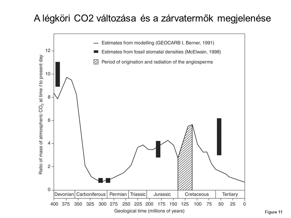 A légköri CO2 változása és a zárvatermők megjelenése