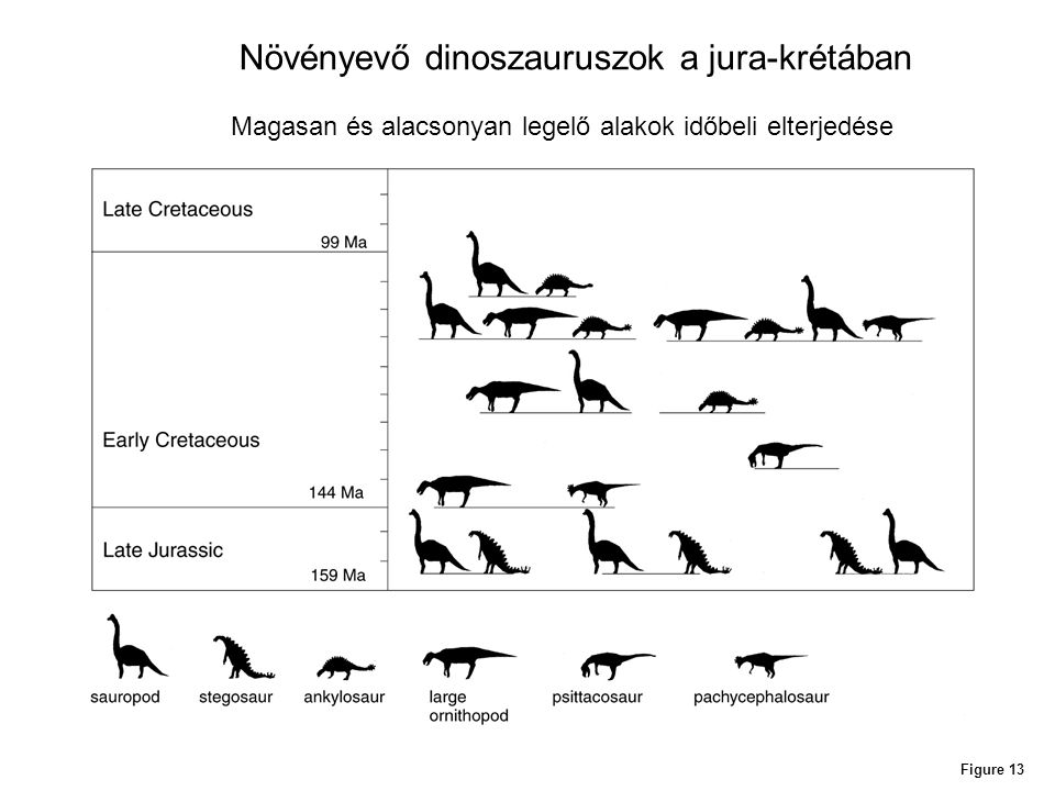 Növényevő dinoszauruszok a jura-krétában