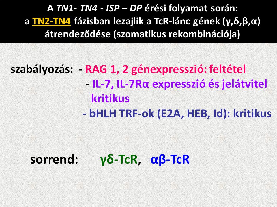 sorrend: γδ-TcR, αβ-TcR