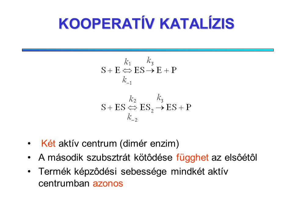 KOOPERATÍV KATALÍZIS Két aktív centrum (dimér enzim)