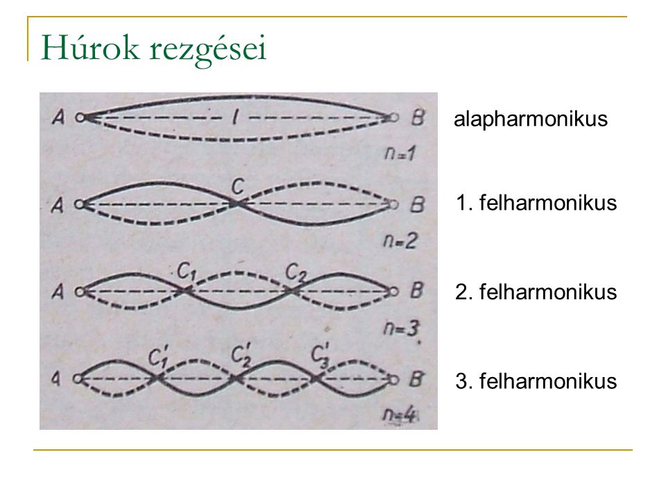 Húrok rezgései alapharmonikus 1. felharmonikus 2. felharmonikus