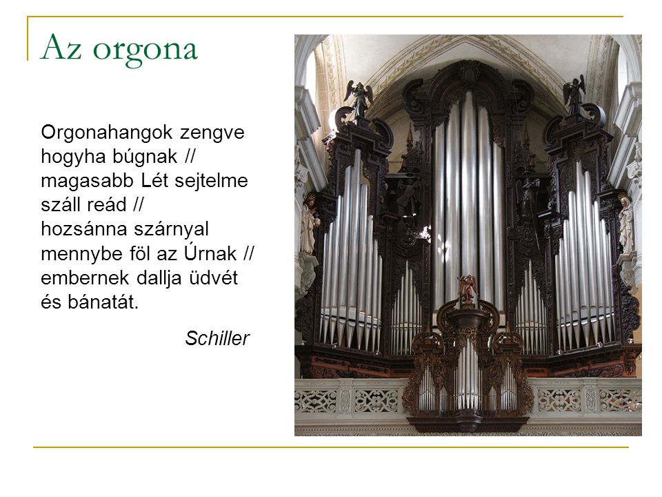 Az orgona