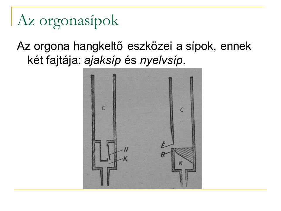 Az orgonasípok Az orgona hangkeltő eszközei a sípok, ennek két fajtája: ajaksíp és nyelvsíp.