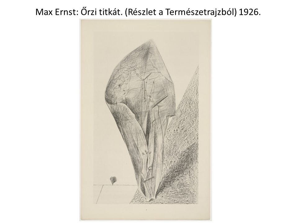 Max Ernst: Őrzi titkát. (Részlet a Természetrajzból) 1926.