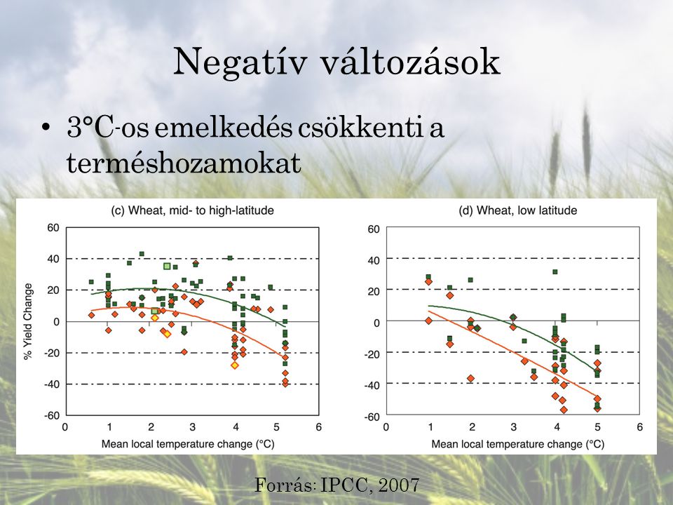 Negatív változások 3°C-os emelkedés csökkenti a terméshozamokat