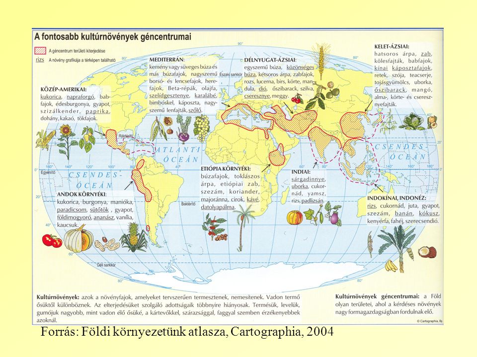 Forrás: Földi környezetünk atlasza, Cartographia, 2004