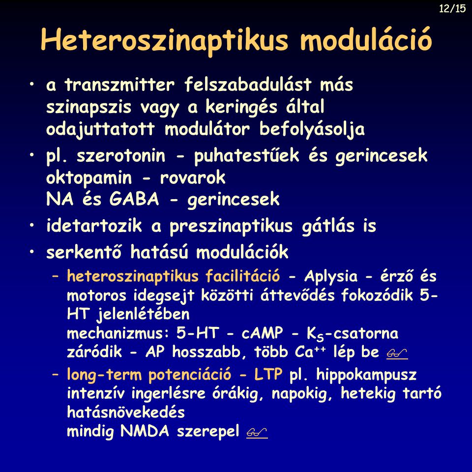 Heteroszinaptikus moduláció