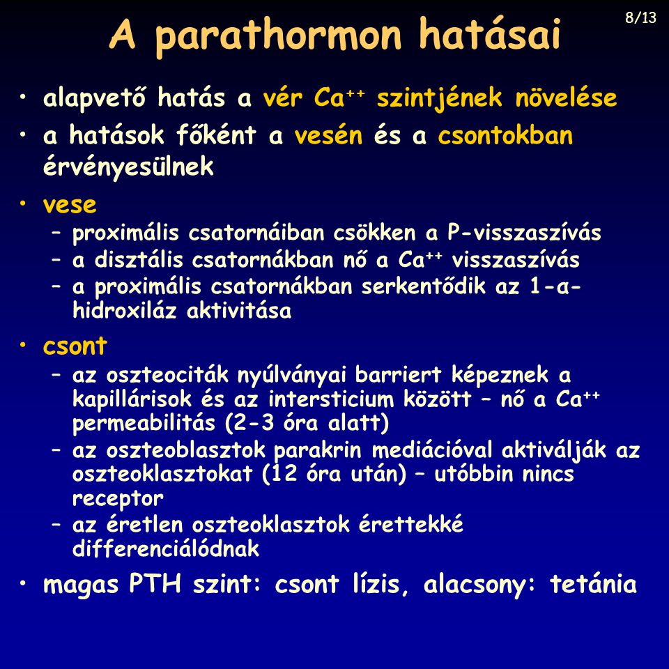 A parathormon hatásai alapvető hatás a vér Ca++ szintjének növelése