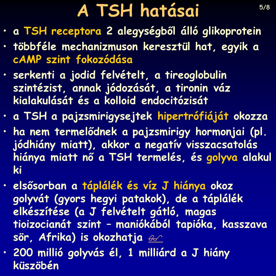 A TSH hatásai a TSH receptora 2 alegységből álló glikoprotein