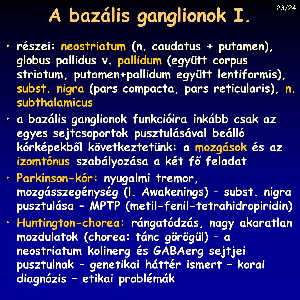 A bazális ganglionok I. 23/24.