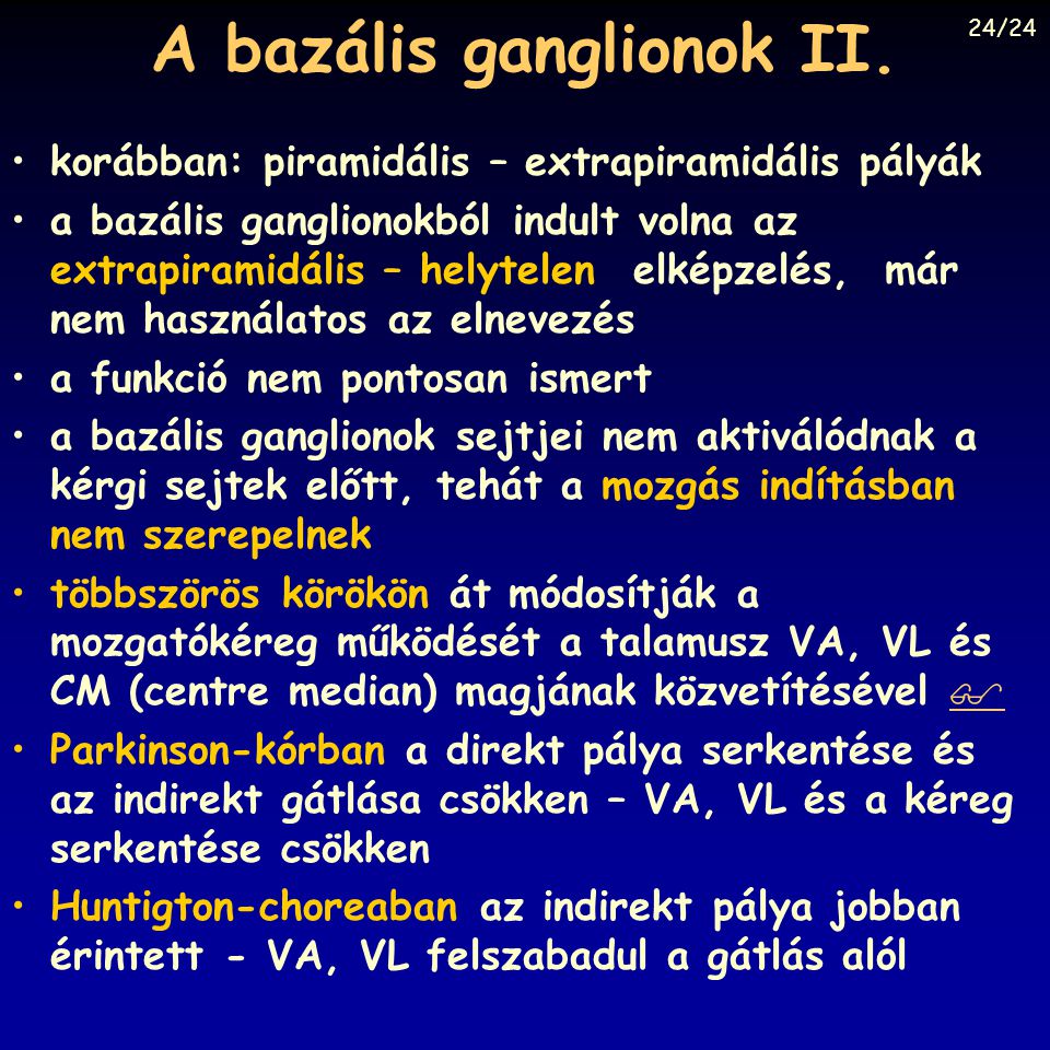 A bazális ganglionok II.