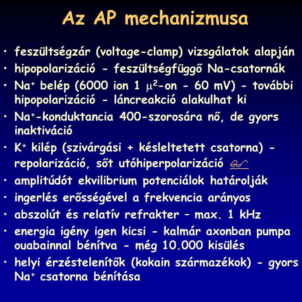 Az AP mechanizmusa feszültségzár (voltage-clamp) vizsgálatok alapján