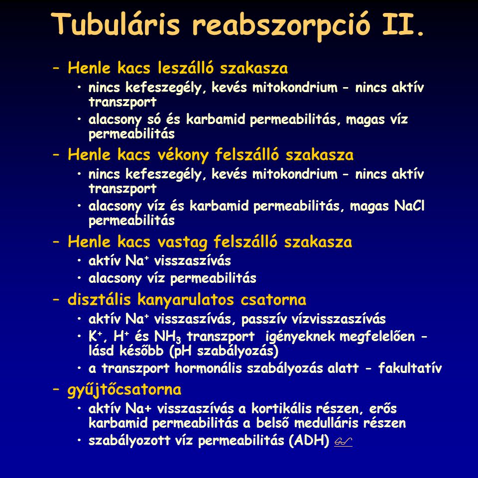 Tubuláris reabszorpció II.