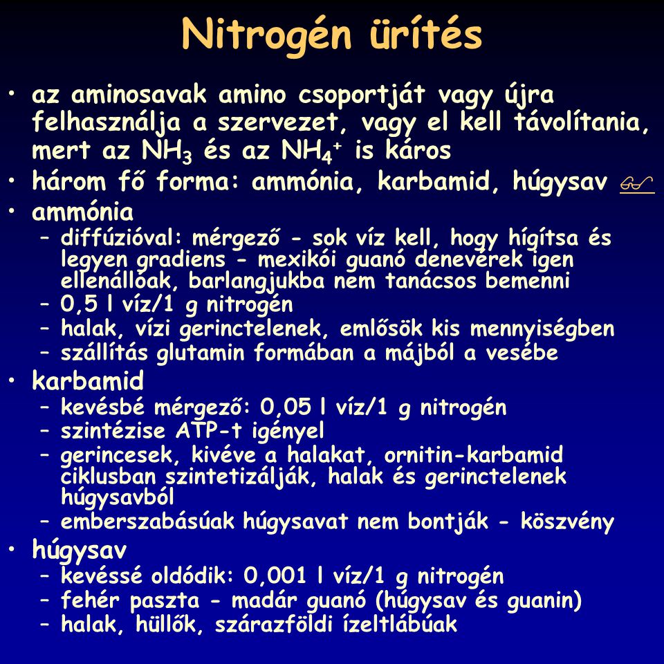 Nitrogén ürítés az aminosavak amino csoportját vagy újra felhasználja a szervezet, vagy el kell távolítania, mert az NH3 és az NH4+ is káros.