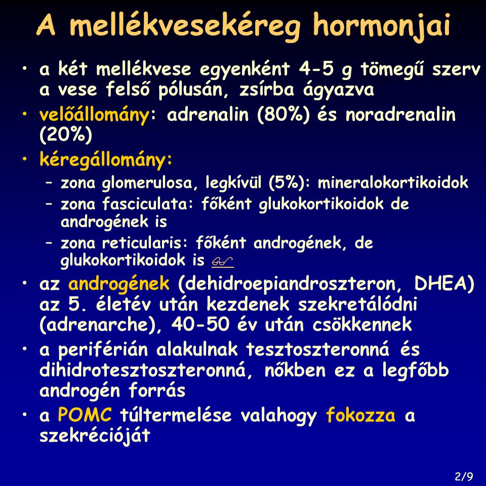 A mellékvesekéreg hormonjai