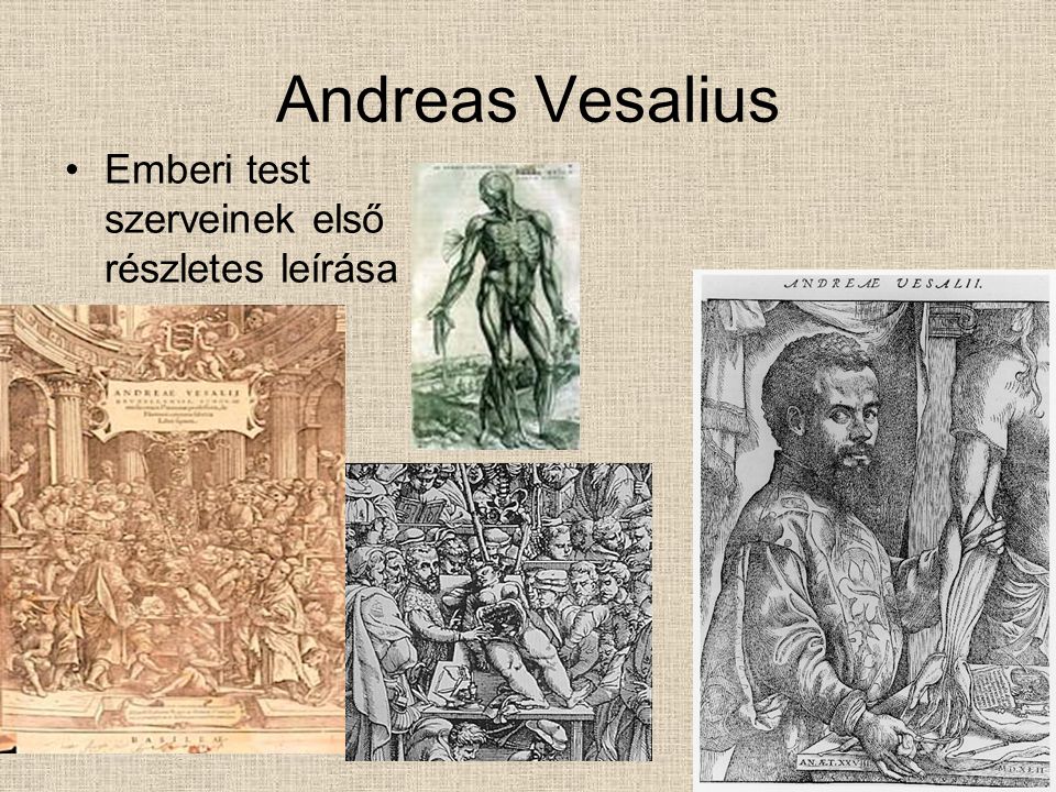 Andreas Vesalius Emberi test szerveinek első részletes leírása