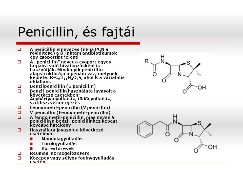 Penicillin, és fajtái A penicillin elnevezés (néha PCN a rövidítése) a β-laktám antibiotikumok egy csoportját jelenti.