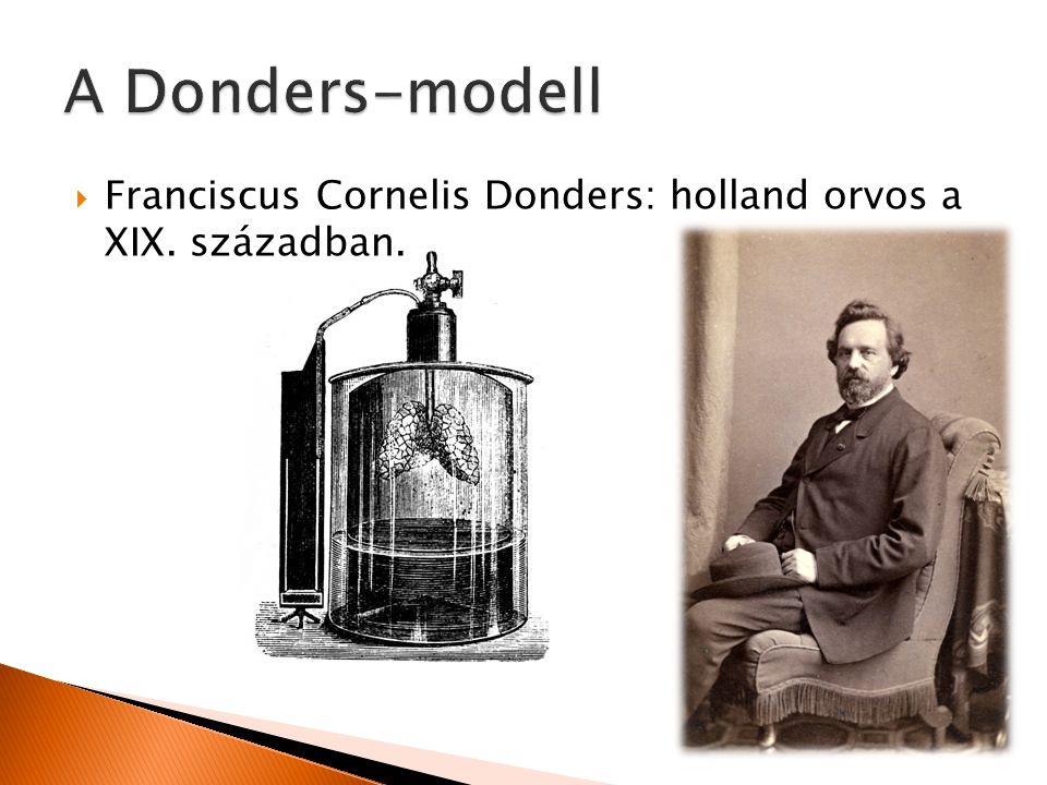 A Donders-modell Franciscus Cornelis Donders: holland orvos a XIX. században.