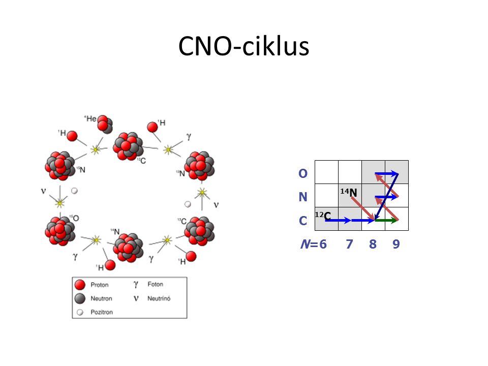 CNO-ciklus C N O N= C 14N