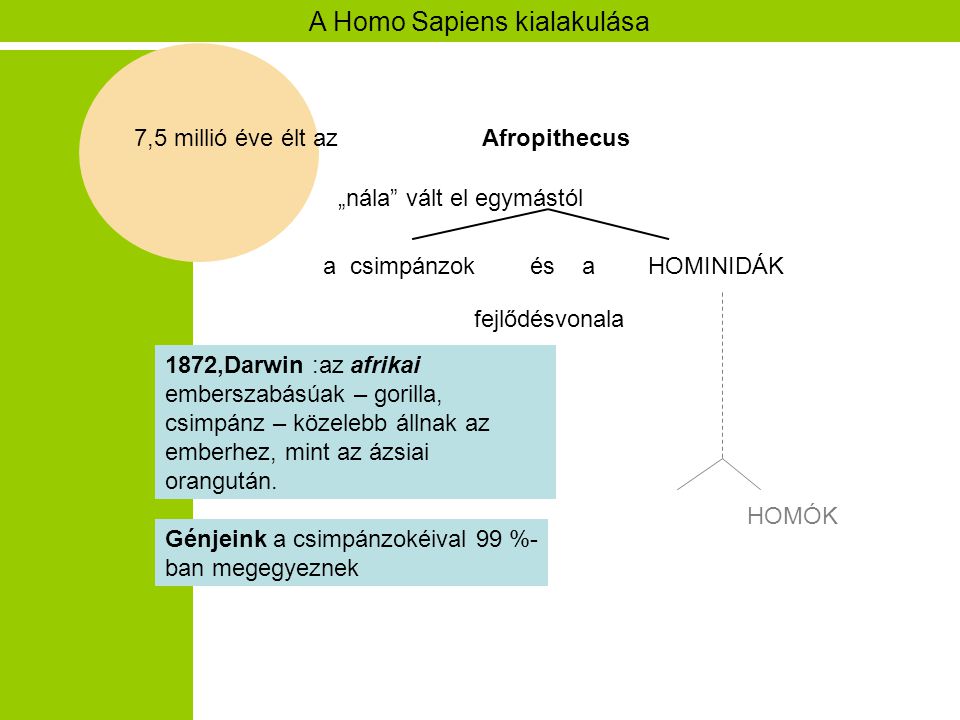 A Homo Sapiens kialakulása