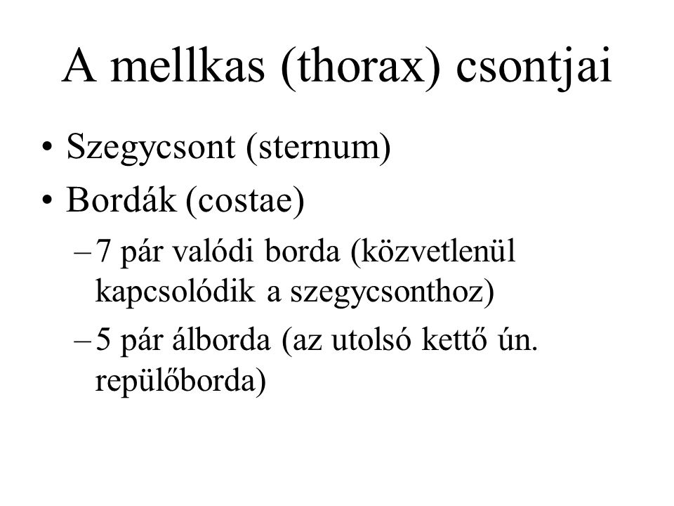 A mellkas (thorax) csontjai