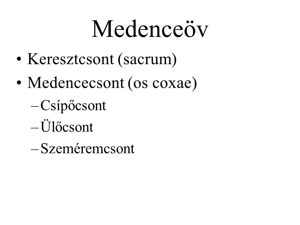 Medenceöv Keresztcsont (sacrum) Medencecsont (os coxae) Csípőcsont