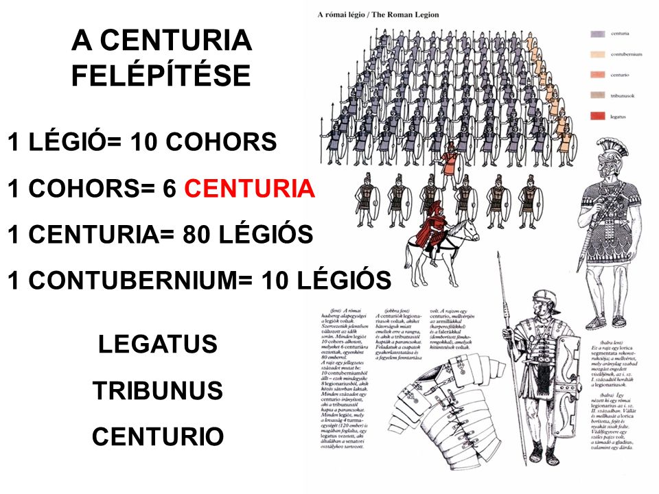 A CENTURIA FELÉPÍTÉSE 1 LÉGIÓ= 10 COHORS 1 COHORS= 6 CENTURIA