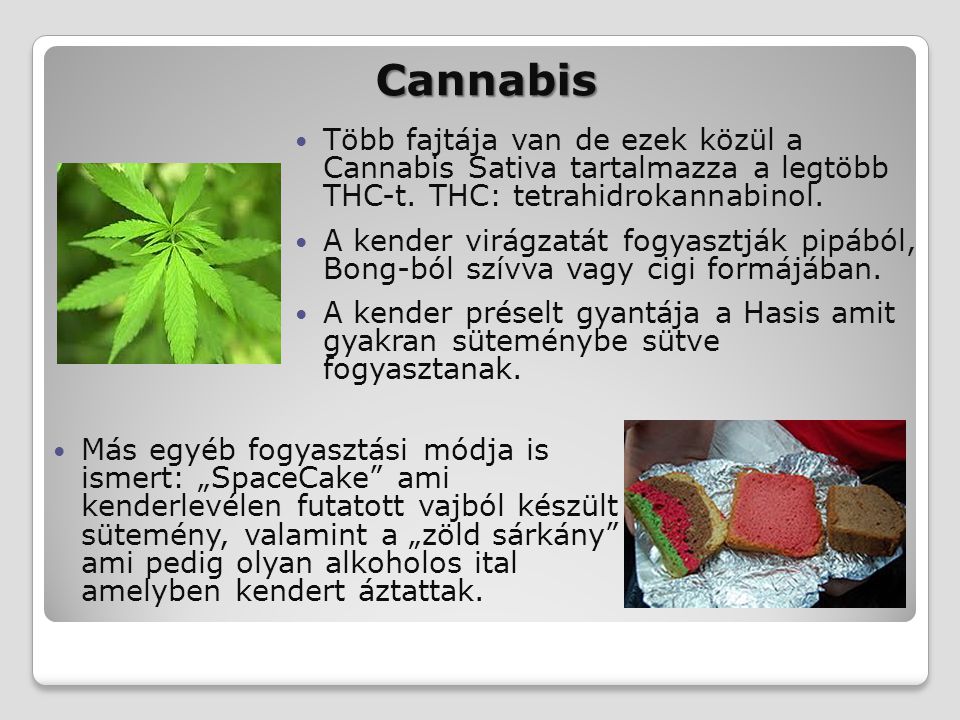 Cannabis Több fajtája van de ezek közül a Cannabis Sativa tartalmazza a legtöbb THC-t. THC: tetrahidrokannabinol.