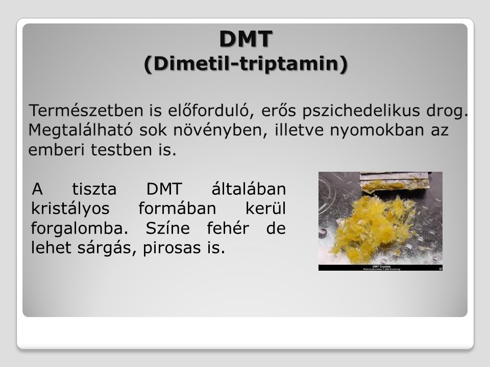 DMT (Dimetil-triptamin)