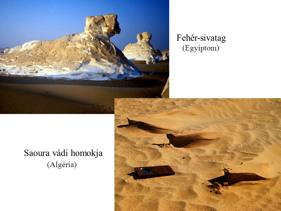 Fehér-sivatag (Egyiptom) Saoura vádi homokja (Algéria)