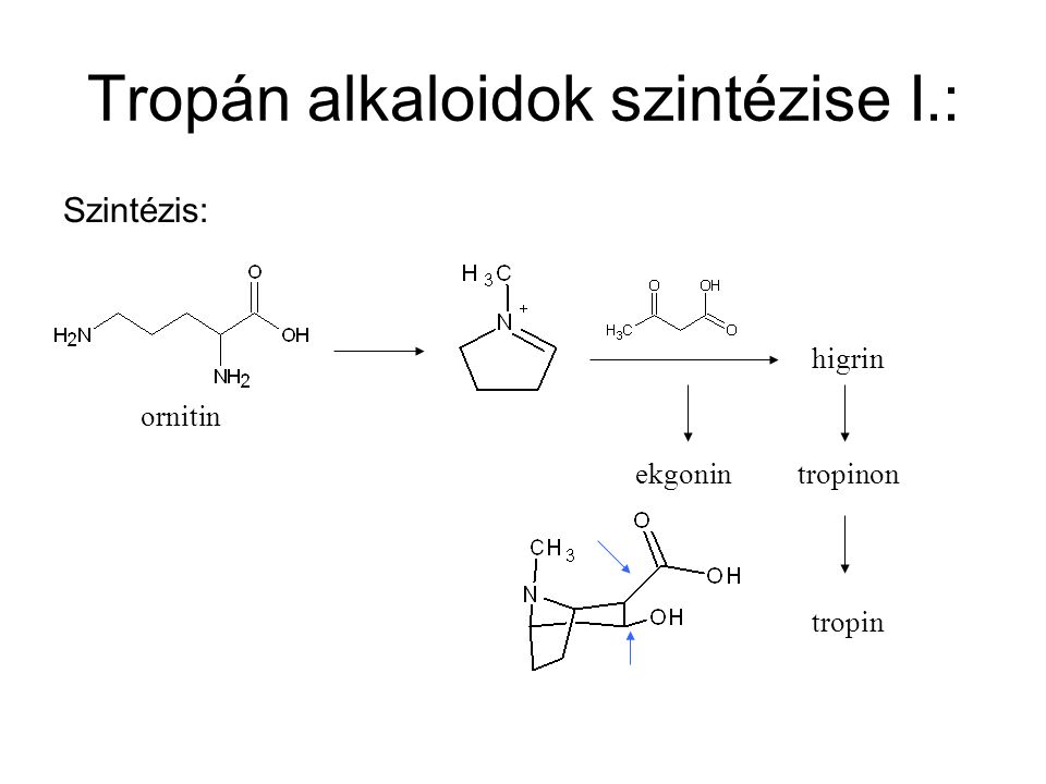 Tropán alkaloidok szintézise I.: