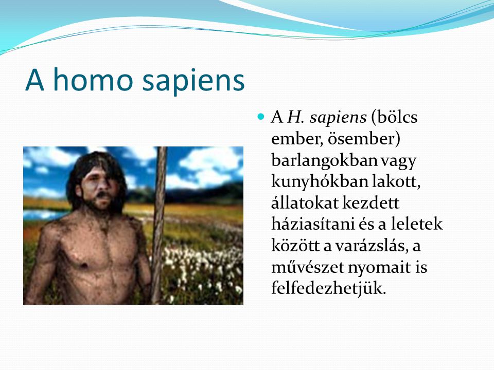 A homo sapiens