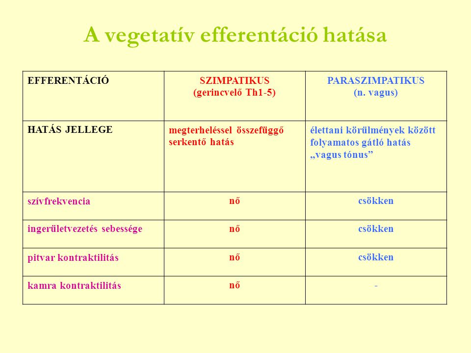 A vegetatív efferentáció hatása