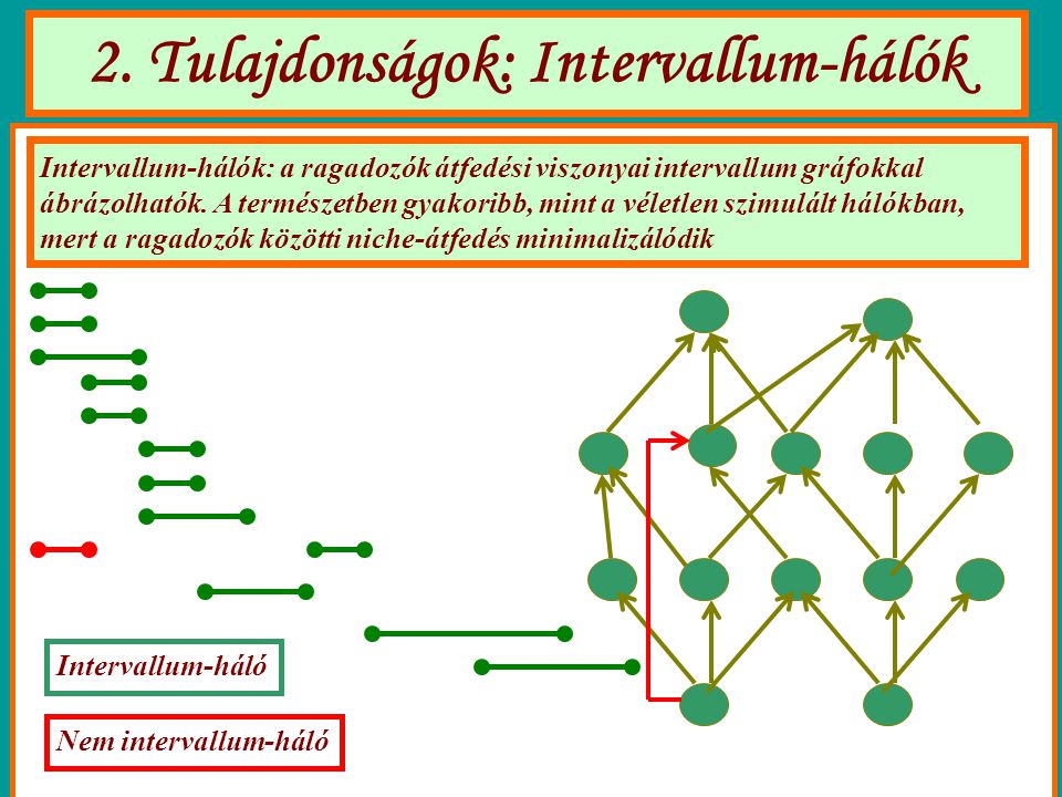2. Tulajdonságok: Intervallum-hálók