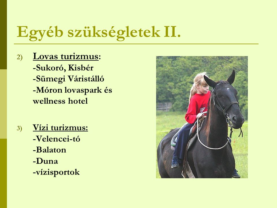 Egyéb szükségletek II. Lovas turizmus: -Sukoró, Kisbér -Sümegi Váristálló -Móron lovaspark és wellness hotel.
